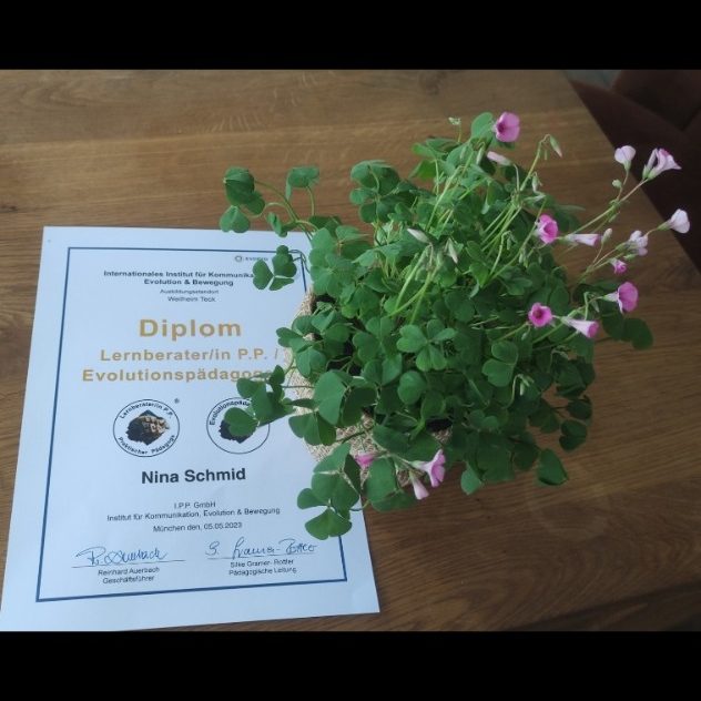 Logo, Abschluss, Blume, Glücksklee, Nina Schmid, Lernberater, Stärkeprofil, Ziele